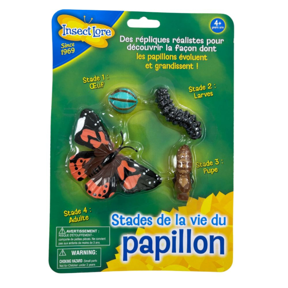 Figurines métamorphose papillon