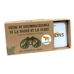 Carnet Champignons