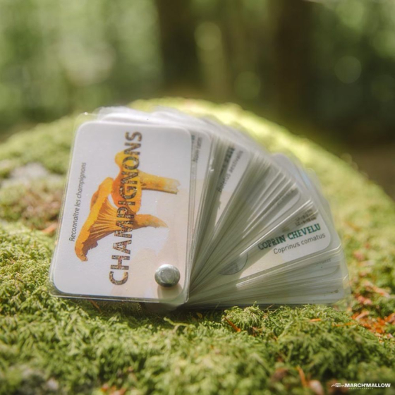 Carnet Champignons