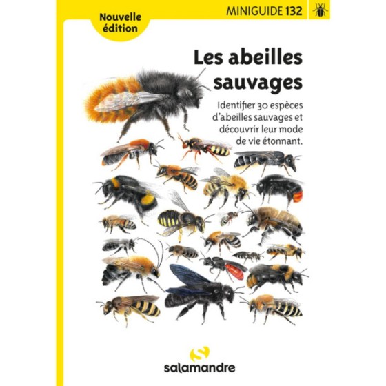 Miniguide 132 - Les abeilles sauvages Miniguide 132 - Les abeilles sauvages