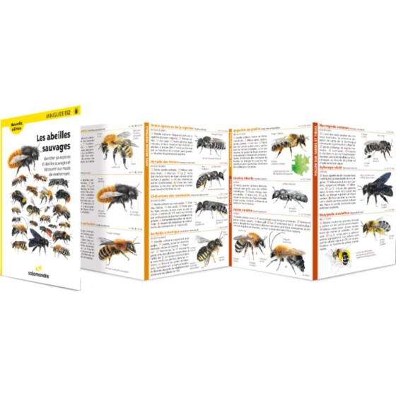 Miniguide 132 - Les abeilles sauvages