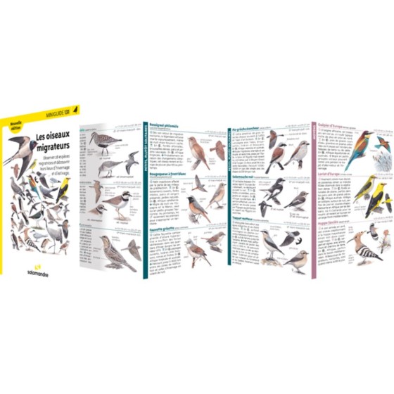 Miniguide 131 - Les oiseaux migrateurs