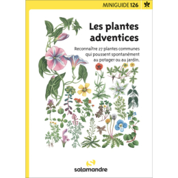 Miniguide 126 - Les plantes adventices