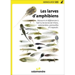 Miniguide 120 - Les larves d’amphibiens