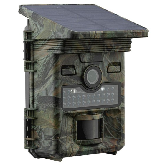 Piège photographique PIE1069