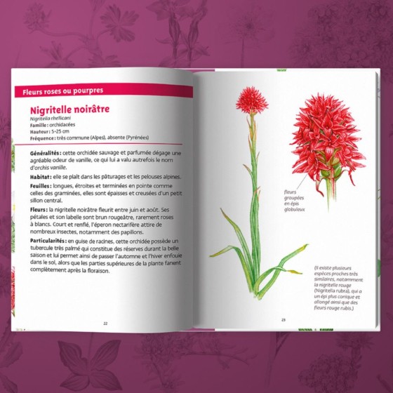 Les petits livres de la nature - Fleurs des montagnes