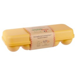 Boîte 10 oeufs coquille - Jaune
