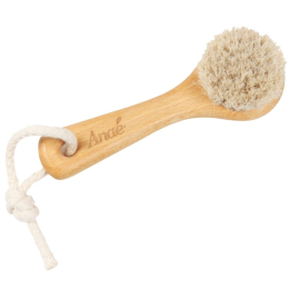 Brosse visage