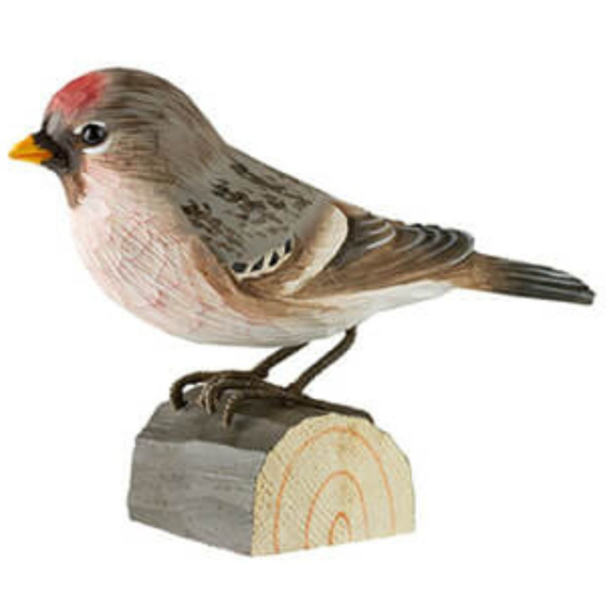 Decobird Sizerin flammé