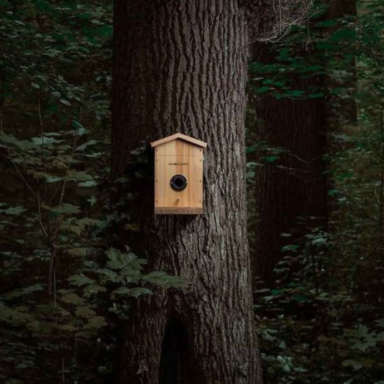 Nichoir camouflage connectée EZ Nesteye