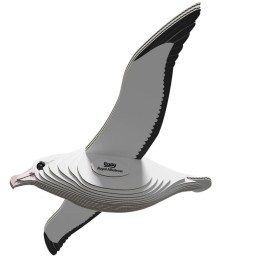 Albatros royal – Eugy 3D