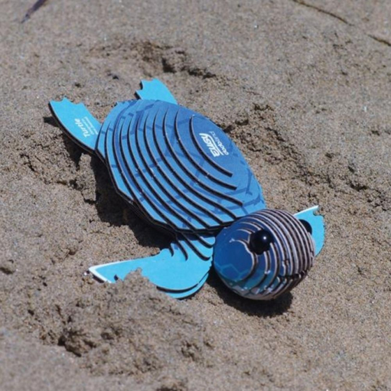 Tortue – Eugy 3D
