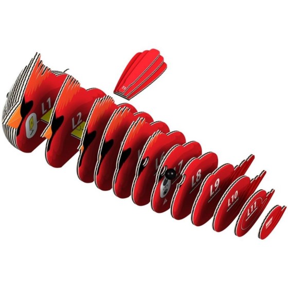 Cardinal – Eugy 3D