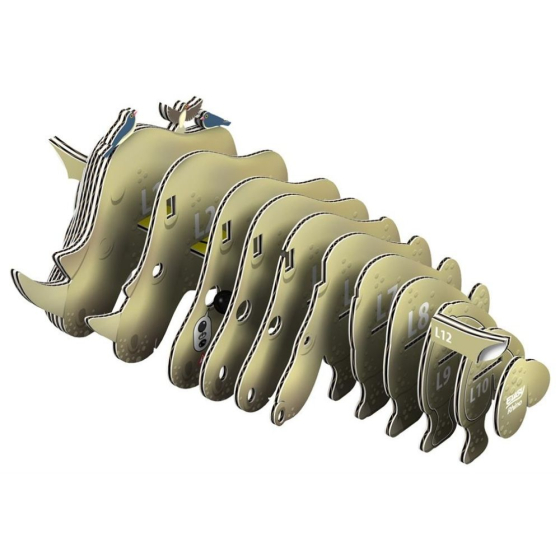 Rhinocéros – Eugy 3D