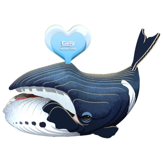 Baleine boréale – Eugy 3D