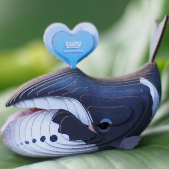 Baleine boréale – Eugy 3D