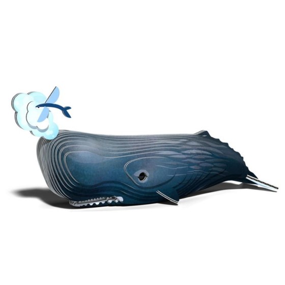 Grand cachalot – Eugy 3D