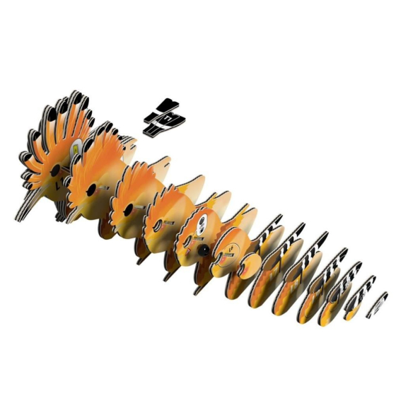 Upupa – Eugy 3D