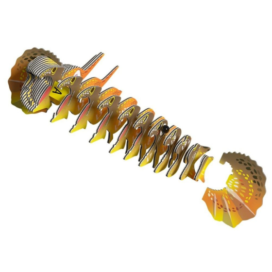 Lézard – Eugy 3D