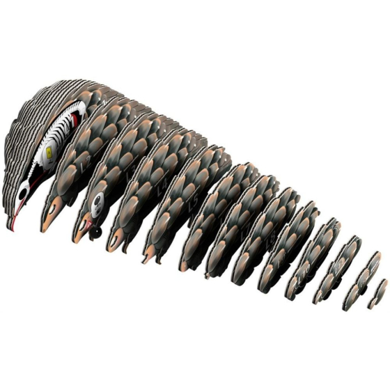 Pangolin – Eugy 3D