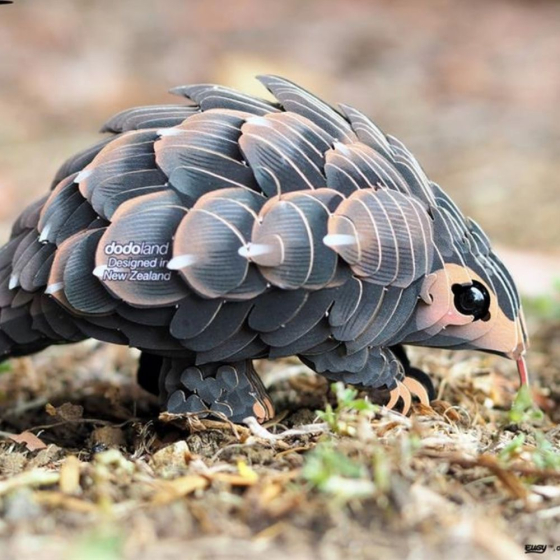 Pangolin – Eugy 3D