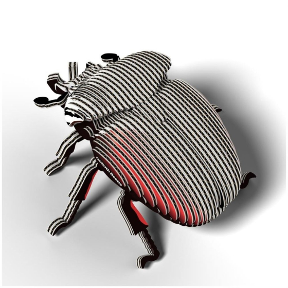 Coléoptère Goliath – Eugy 3D