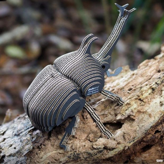 Scarabée rhinocéros – Eugy 3D