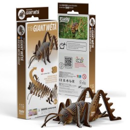 Sauterelle – Eugy 3D