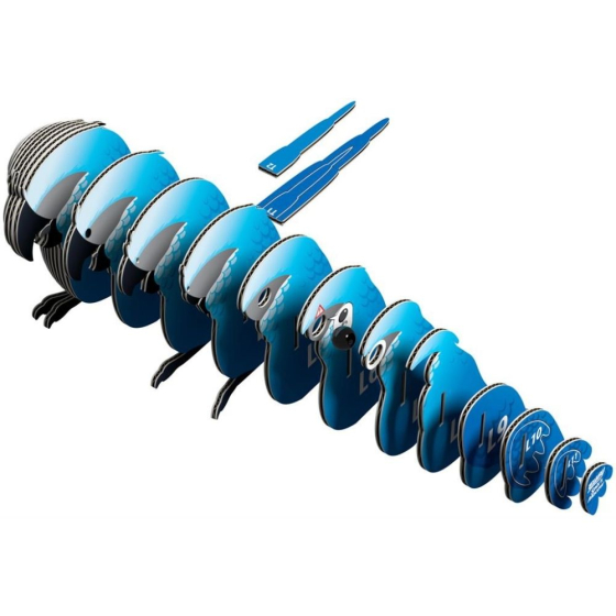 Ara de Spix – Eugy 3D
