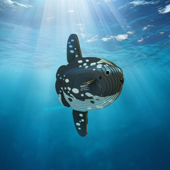 Poisson-lune – Eugy 3D