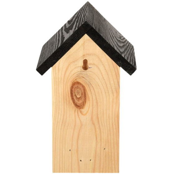 Maison beurre cacahuètes sélective