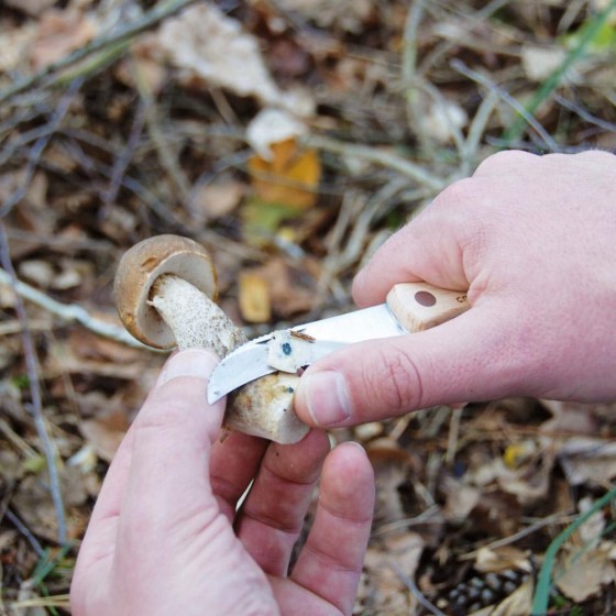 Couteau à champignons avec brosse
