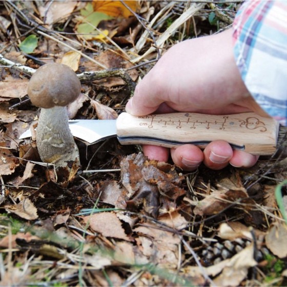 Couteau à champignons avec brosse