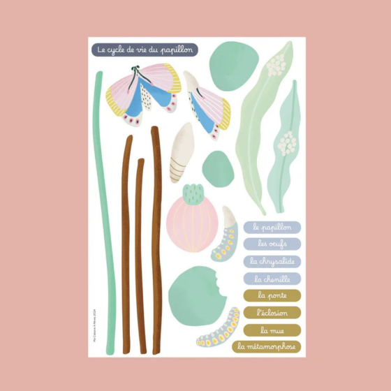 Jeu magnétique Cycle de vie du Papillon