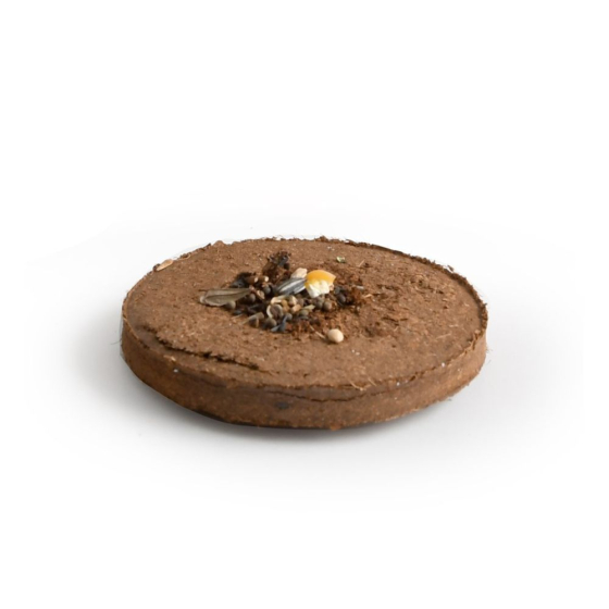 Fleurs Jaunes à lancer