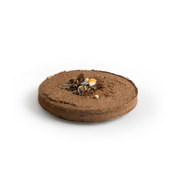 Fleurs Rouges à lancer