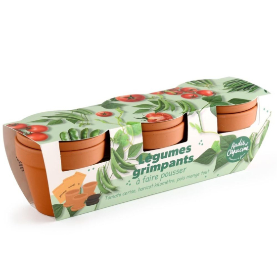Trio pot légumes grimpants pour balcon – Tomate / Haricot maxi cosse verte / Poi Trio pot légumes grimpants pour balcon – Tomate / Haricot maxi cosse verte / Poi