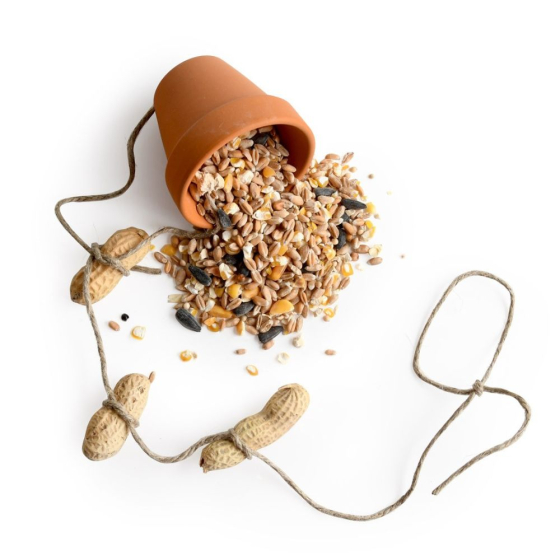 Coffret activité - Pots mangeoires à oiseaux