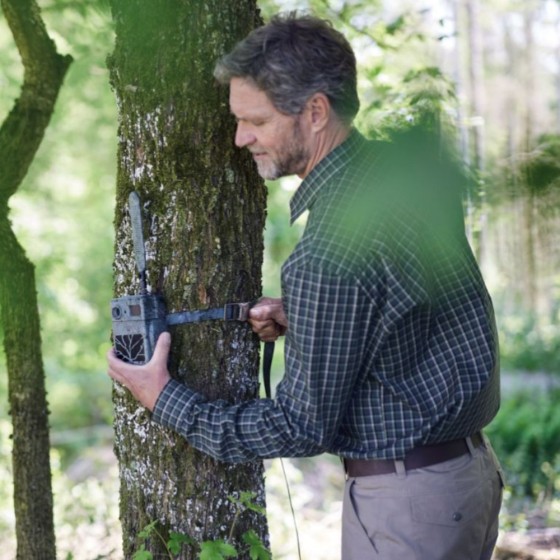 Sangles de fixation d'arbre x 2 - ZEISS secacam