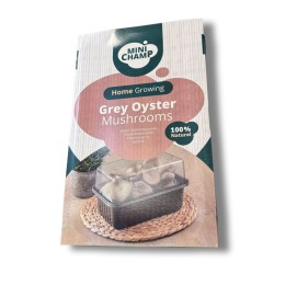Kit culture Pleurotes gris Minichamp 3 litres