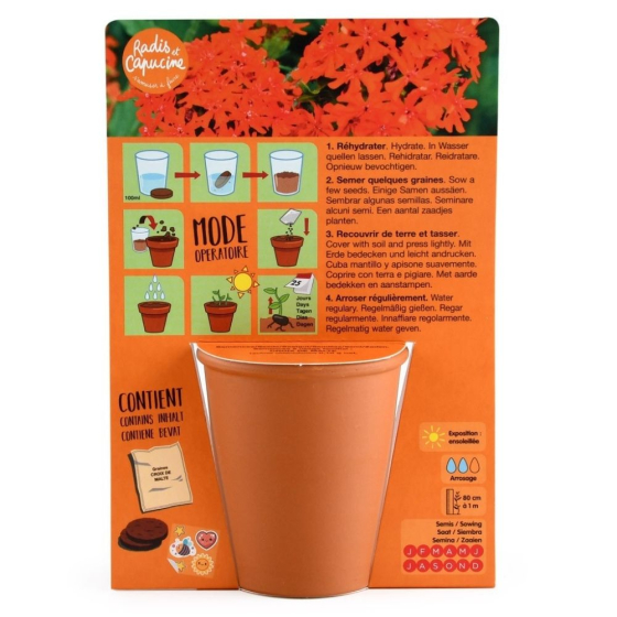 Carte nature - Chevalier