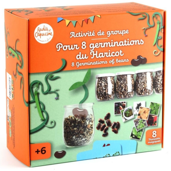 Coffret activité - Germination du Haricot