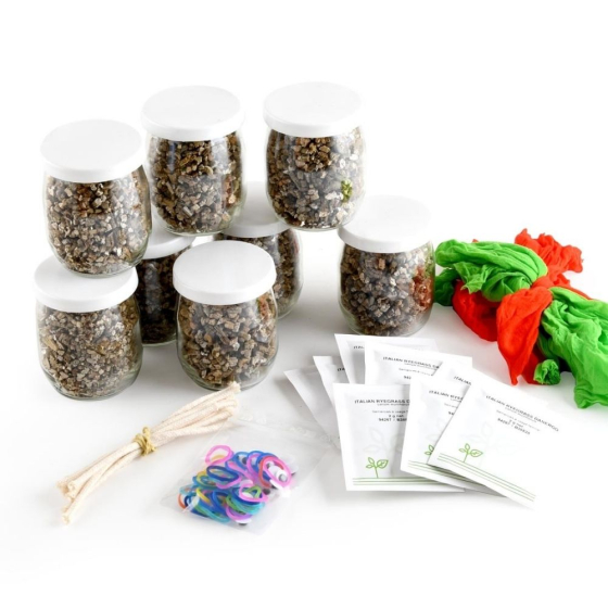 Coffret activité - Mr Patate