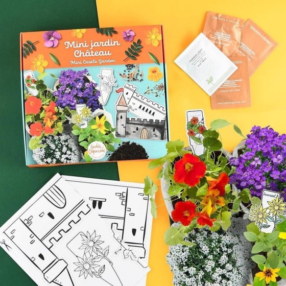 Mini jardin de châteaux à décorer