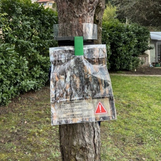 Piège écorce contre les chenilles processionnaires - Circonférence max. 2m