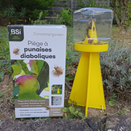 Cymatrap - Piège à punaises diaboliques avec recharges (8 semaines d’attractivit
