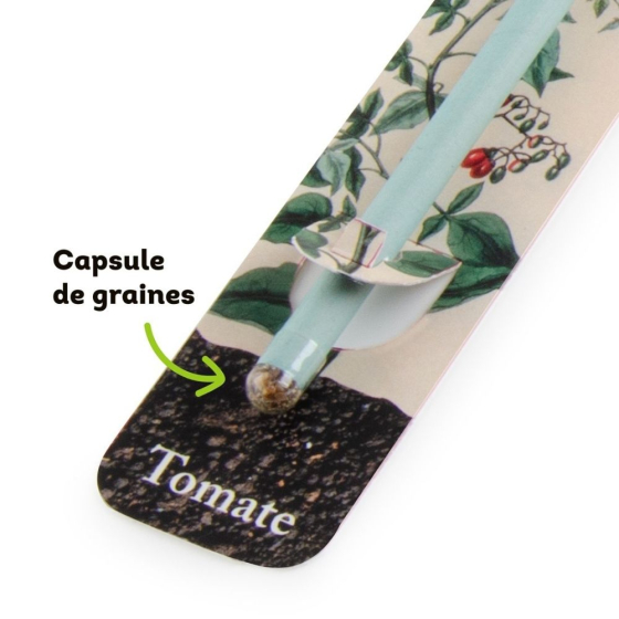 Crayon à planter avec graines - Fleurs en mélange