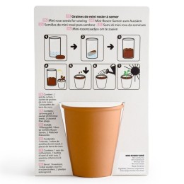 Carte message - All you need is love - Rosier