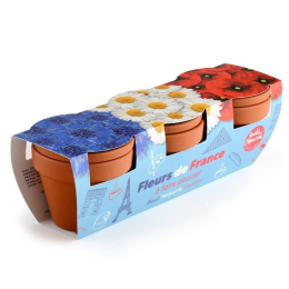 Trio fleurs bleu blanc rouge