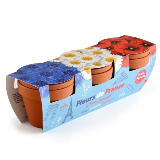 Trio fleurs bleu blanc rouge